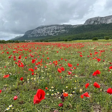 Appartement Au Pied De La Sainte Baume à Plan d'Aups Extérieur photo